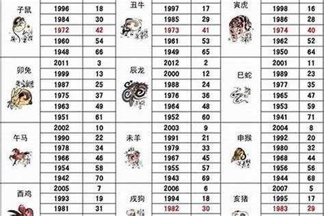 制五鬼2023|2023年十二属相运势总览